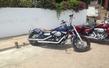 Harley Davidson Dyna Street Bob